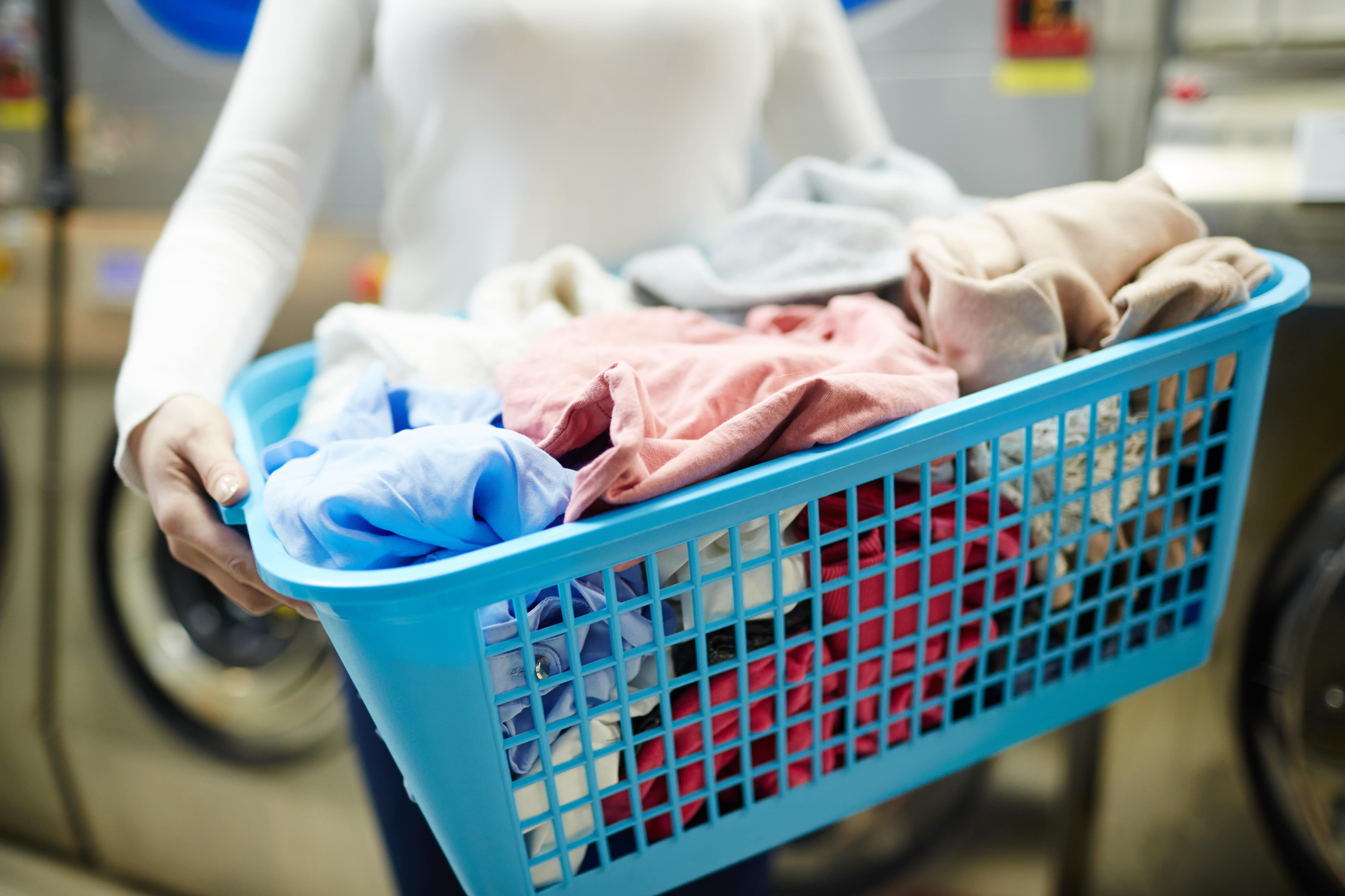 Staff managing in-house smart laundry schedules