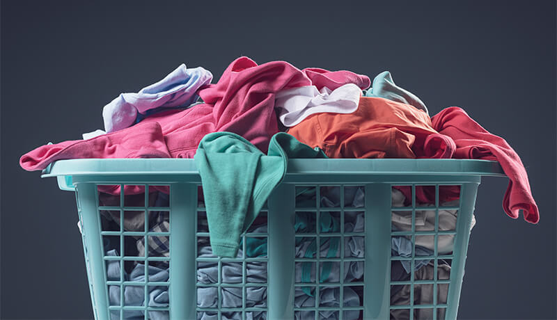 A smiling customer inspecting freshly laundered white shirts in protective plastic covers, celebrating the high standards of National Dry Cleaning Day.
